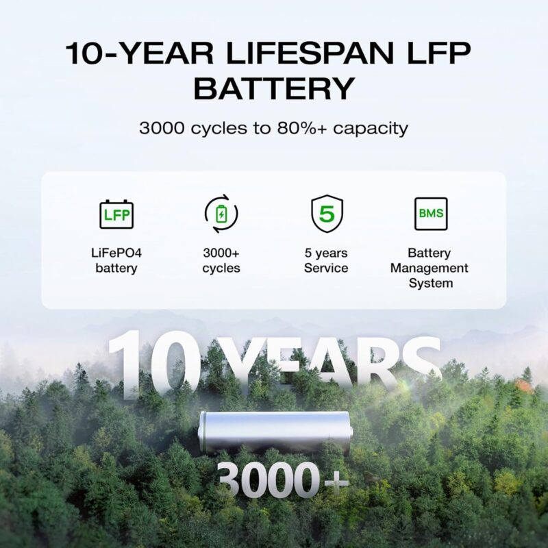 DELTA 2 10-year LFP battery infographic — 3000+ cycles, 5-year service, BMS
